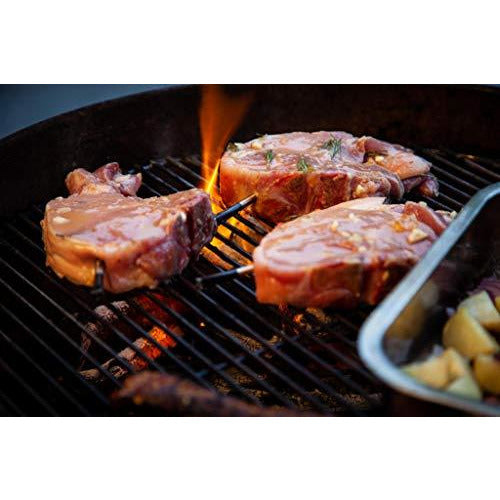 MEATER Block | Premium Wireless Smart Meat Thermometer for The Oven Grill Kitchen BBQ Smoker Rotisserie with Bluetooth and WiFi Digital Connectivity