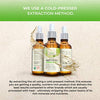 Organic Castor Oil - USDA Certified Organic (1oz)