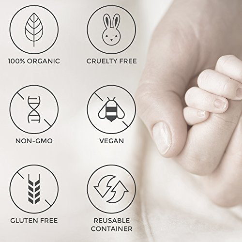 Zoe Organics - Organic Belly Butter, Rich Conditioning Treatment for Stretching Skin During Pregnancy, For Stretch Marks and Supports Skin Elasticity (2 Ounces)