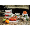 Glasslock Food Storage