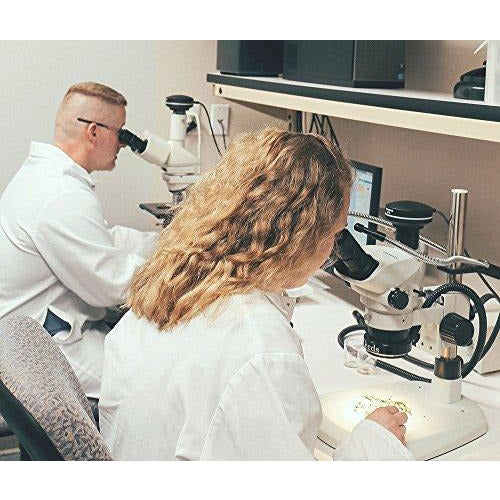 Frontier Co-op Organic White Onion Powder, 2 1 Pound Bulk Bags (Pack of 2)