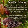 Raw Organic Cacao Butter, 16oz, The Raw Food World