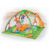 Fisher-Price Rainforest Melodies and Lights Deluxe Gym