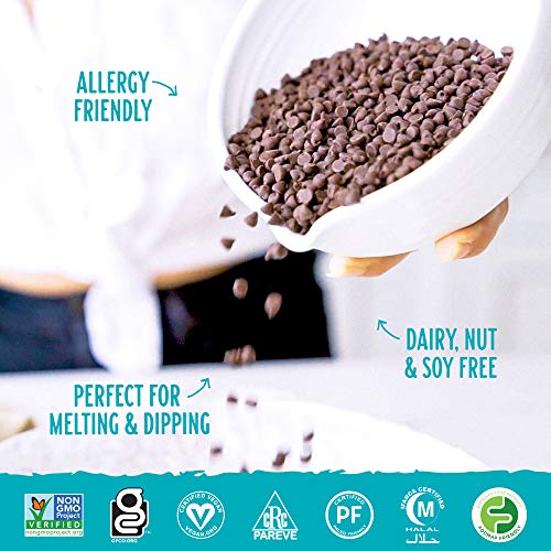 Enjoy Life semi-sweet, dairy free vegan mega chunk chocolate chips certifications list Danielle Walker