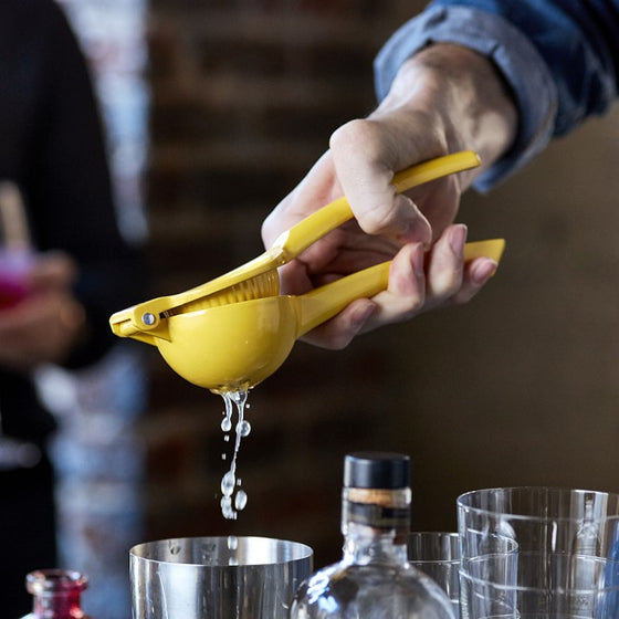 Open Kitchen by Williams Sonoma Lemon Press