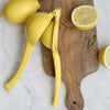 Open Kitchen by Williams Sonoma Lemon Press